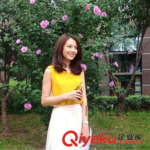 2015夏季新款 2015春裝新款 高圓圓明新同款韓版氣質雪紡兩件套長裙 連衣裙原始圖片3