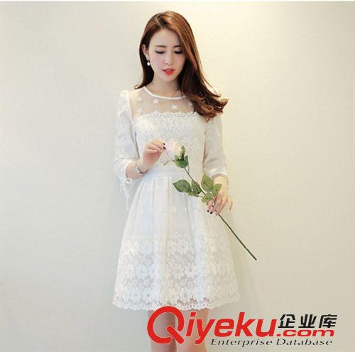 4月10上新 2015春夏季新款女裝韓版蕾絲修身歐根紗刺繡花朵透視打底連衣裙原始圖片3