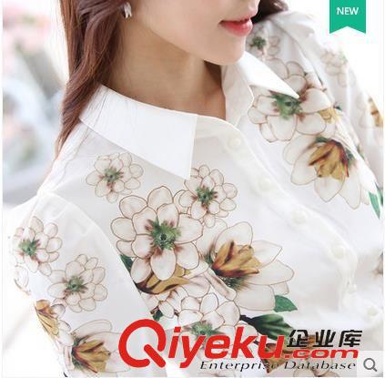 女式襯衫 2015春裝新款女裝 長(zhǎng)袖雪紡衫修身打底衫韓版大碼休閑花襯衫原始圖片3