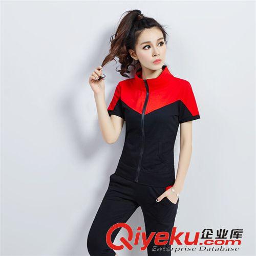 女裝*系列 好質(zhì)量夏季新款女裝休閑套裝大碼修身短袖拼接衛(wèi)衣兩件套 509M原始圖片2