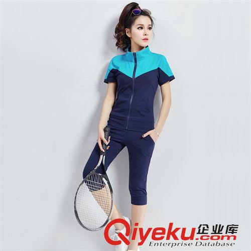 女式精品爆款專區(qū) 2015夏季新品休閑運動套裝女 開衫立領(lǐng)純棉短袖運動服女套裝批發(fā)原始圖片3