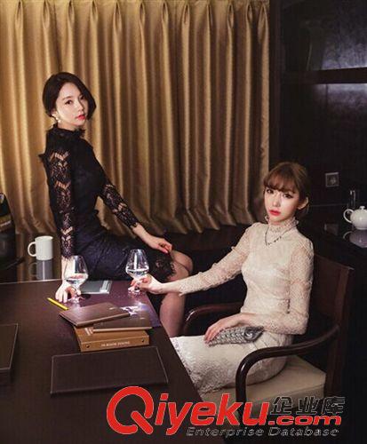 連衣裙 2015春裝新款韓版修身顯瘦長袖打底裙女中長款立領(lǐng)鏤空蕾絲連衣裙原始圖片3