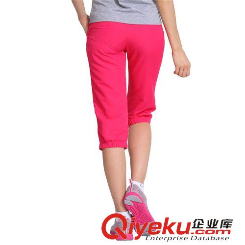女裝 CBA女子七分褲 2015春夏季新品修身單層運(yùn)動(dòng)褲 輕薄透氣五分褲女