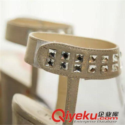 魚嘴鞋 15夏季新款羅馬歐美高跟粗跟防水臺魚嘴單鞋網(wǎng)紗水鉆魔術(shù)貼女涼鞋