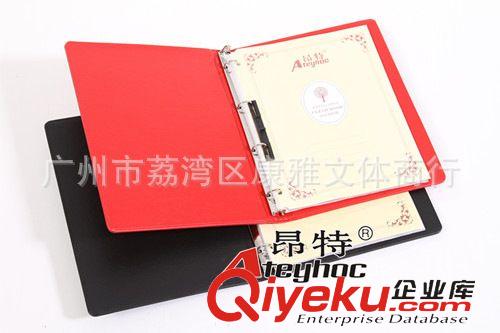 辦公用品 昂特 523 皮質(zhì)（A4活頁式）資料冊/文件夾/資料夾 活頁可增減原始圖片2