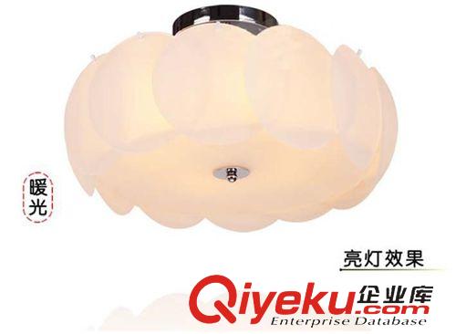 燈具 蓮花吸頂燈  臥室頂燈  節(jié)能吸頂燈   led臥室吸頂燈原始圖片3