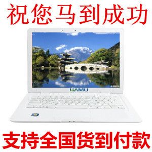 筆記本 14寸金屬拉絲雙核 超薄筆記本電腦 超級游戲本 支持貨到付款 包郵