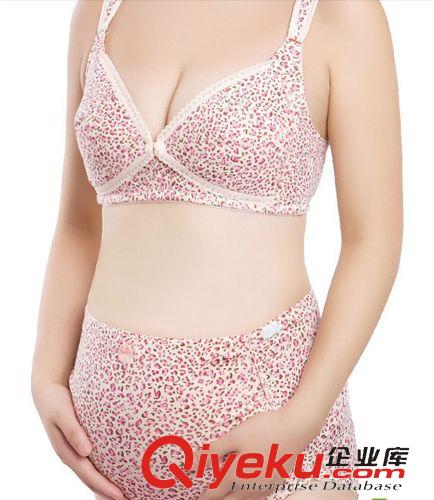 內衣 孕寶 內褲 純棉孕婦內褲 高腰可調節托腹短褲 全棉內褲 高腰內褲