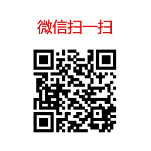 運(yùn)動(dòng)鞋 MAX2014飛線(xiàn)全掌氣墊透氣網(wǎng)布跑步鞋男女鞋批發(fā)零售原始圖片2