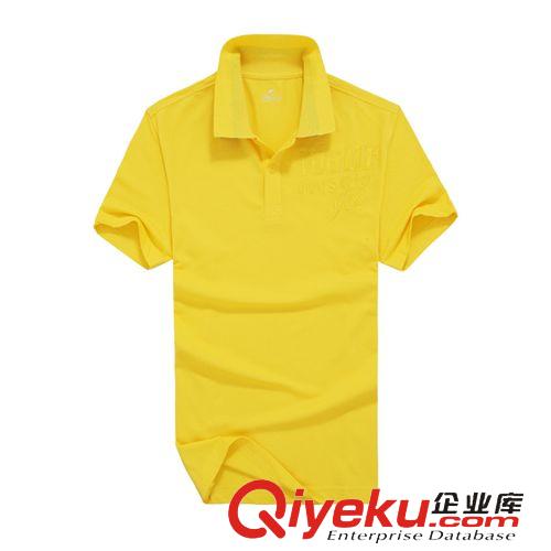 男式T恤 金萊克男款翻領T恤衫   zp時尚韓版休閑潮流款22201201原始圖片3