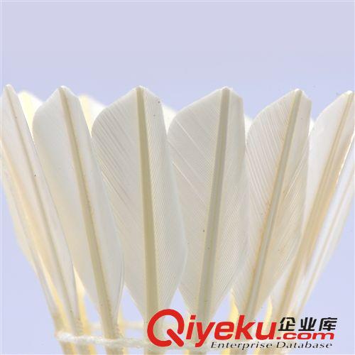 羽毛球 tj清倉零度6號羽毛球NO.6免費拿樣tr色耐打進口膠水包郵