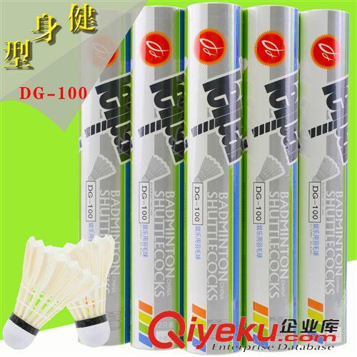 羽毛球 磊牌DG90tg鵝毛訓練級leipai羽毛球耐打飛行穩定保障zp包郵