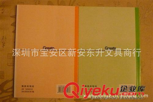 筆記本 供應(yīng)軟抄筆記本NOTEBOOK  A5軟抄筆記本 高級記事本