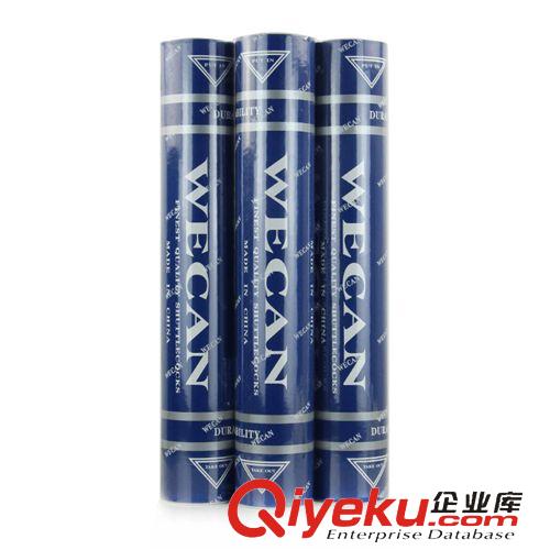 羽毛球 藍 WECAN 威肯 藍威肯 穩定 耐打 羽毛球原始圖片2