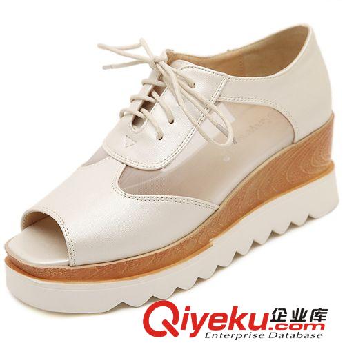 4月21號新款 2015廠家生產(chǎn)夏季新款歐美鏤空紗網(wǎng)坡跟松糕鞋厚底女涼鞋原始圖片3