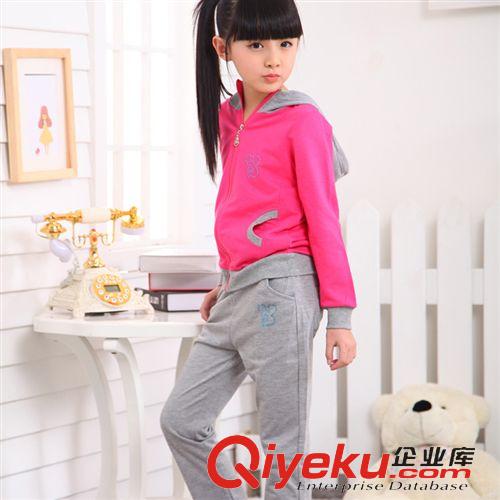 秋裝專區(qū)Autumn 童套裝 品質(zhì)秋款女童 兒童衛(wèi)衣套裝 中大童兩件套 童裝批發(fā)原始圖片2
