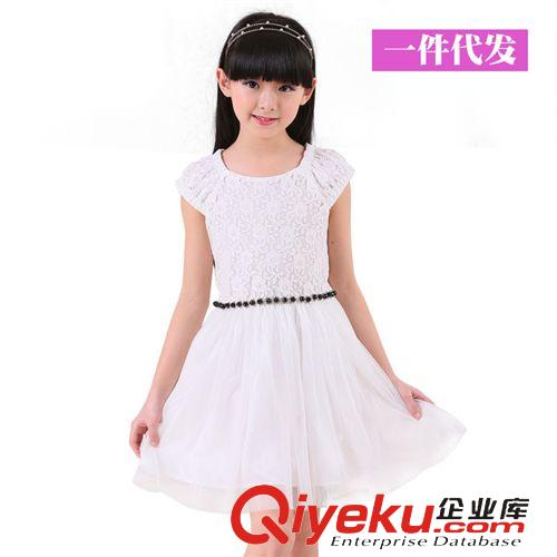 一件代發(fā) 艾尼兔2015夏季新款童裝 一件代發(fā)專用