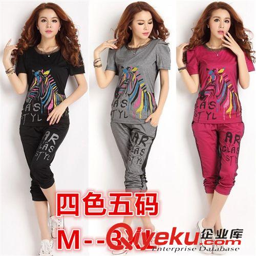 惠州站 2015夏款新品特大碼女裝套裝 胖mm休閑網(wǎng)紗運(yùn)動(dòng)服套裝 顯瘦原始圖片3