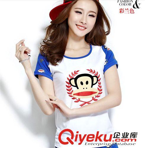 2015.4月二期新款 現(xiàn)貨2015夏季新款女裝運(yùn)動(dòng)套裝休閑運(yùn)動(dòng)服運(yùn)動(dòng)裝衛(wèi)衣
