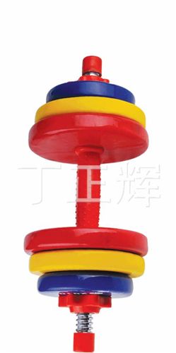 舉重啞鈴系列 【廠家直銷】彩膠浸塑啞鈴10KG