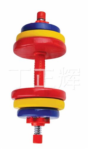 舉重啞鈴系列 【廠家直銷】彩膠浸塑啞鈴10KG