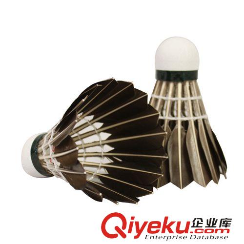 網球系列 【廠家直銷】伊克世寶 訓練級碳素網拍6623