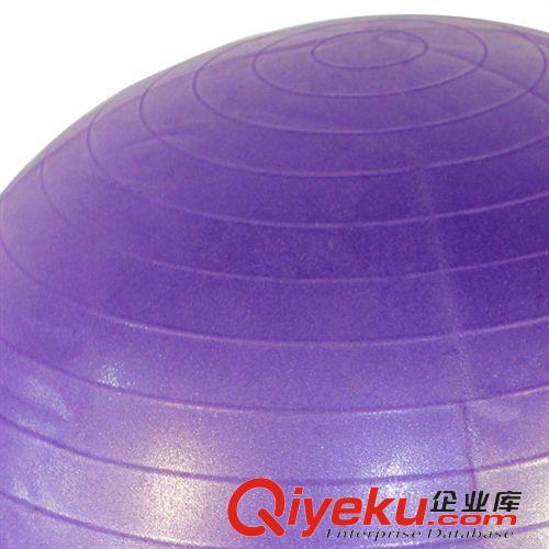 瑜伽系列 【廠家直銷】伊克世寶65CmP.V.C防爆珠光瑜珈球 7718原始圖片2
