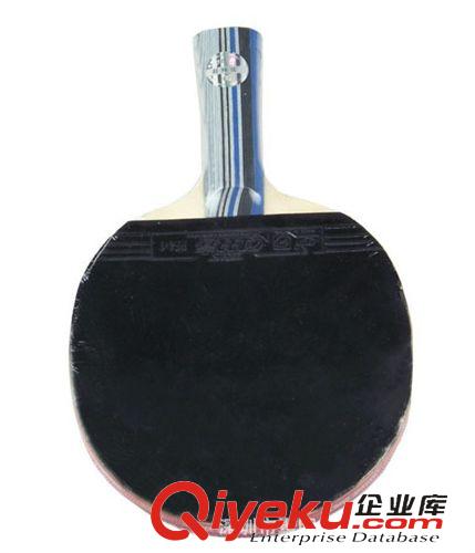 乒乓球拍 現貨批發 紅雙喜乒乓球拍 2星長柄橫拍DHS A2002帶拍套 雙面反膠原始圖片2