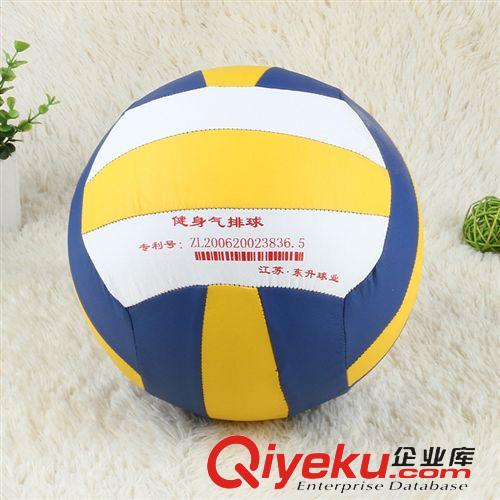 排球 廠家直銷氣排球老年排球PU機(jī)縫沙灘排球 學(xué)生用排球 新款熱銷原始圖片2