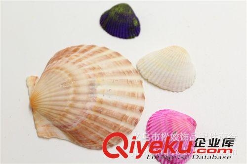 玻璃工藝品 兩元店工藝品批發 義烏2元小商品地攤采購 海灘加工網袋貝殼原始圖片2