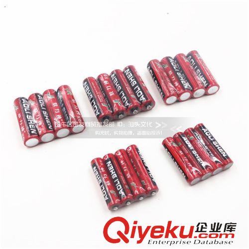 產(chǎn)品大全 長虹 1號 大號 電池 鐵殼電池 熱水器電池 燃氣灶電池 不漏液