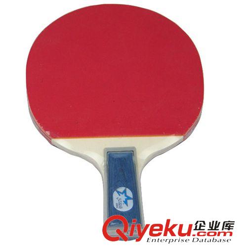 乒乓球系列 批發紅雙喜乒乓球拍 zp 一星1006 直拍 雙面反膠 弧圈快攻打法