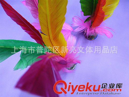體育用品系列 批發(fā)大花毽 穩(wěn)定耐踢 鵝毛毽子 雞毛毽子 比賽專用原始圖片3