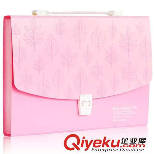 文件夾、包 辦公用品得力5302商務(wù)文件夾A4 雙夾雙強(qiáng)力資料夾整理夾