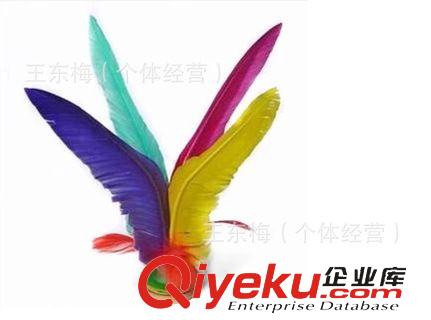 鷹牌毽子 天天牌毽子 比賽專用 耐踢 牛筋底 加厚鐵片 批發學校用 鵝毛雞毛