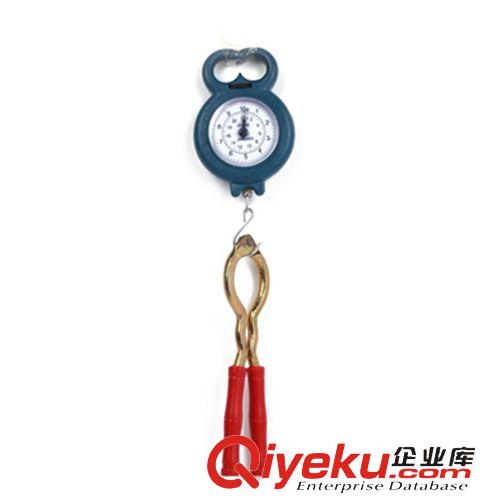 韓國文具 彈簧秤廠家批發(fā)家用便攜式小秤機械式秤口袋秤快遞稱秤手提彈簧原始圖片3