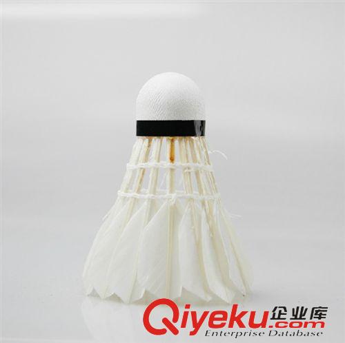 辦公用品 廠家直銷奧力帝AOLEDI 105 羽毛球12個裝專業(yè)訓(xùn)練球原始圖片3