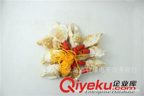 玩具 地?cái)偀豳u大海螺吹響螺號(hào)兒童們的熱愛玩具廠家{dj2}供應(yīng) 螺號(hào)批發(fā)原始圖片2