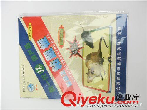 季節產品 強力粘鼠板 md 無害 2元百貨 廠家直銷 義烏百貨批發 地攤價原始圖片3