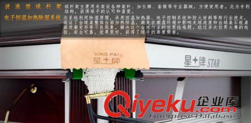 臺(tái)球桌 星牌臺(tái)球桌 XW102-12S英式斯諾克{(lán)dj0}職業(yè)比賽用臺(tái)原始圖片3