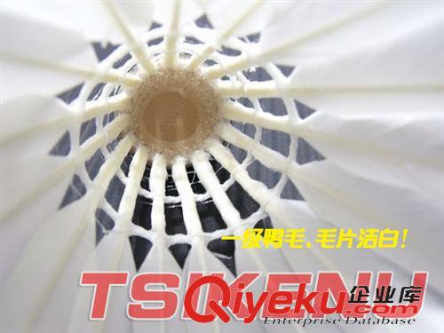 羽毛球 實惠！齊克努無標系列 08羽毛球 入門訓練級 娛樂健身 高xjb