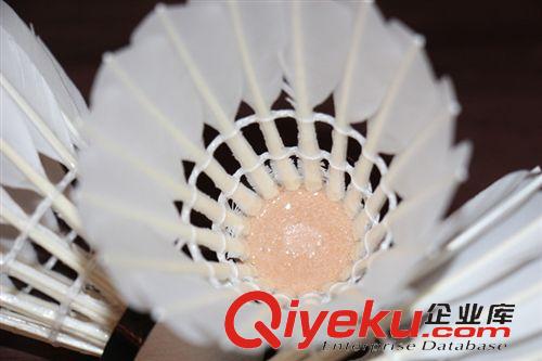 羽毛球 齊克努羽毛球 無標(biāo)系列5000 鵝毛中粗飛行穩(wěn)定準(zhǔn)確  高性價(jià)比原始圖片2