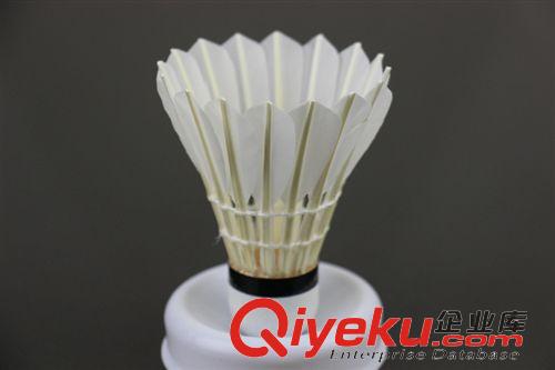 羽毛球 齊克努羽毛球 一級(jí)水鴨全園 出口gd產(chǎn)品