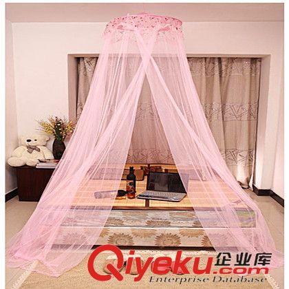 蚊帳 韓版繡花吊頂繡花蚊帳圓頂宮廷公主風落地加大加密蕾絲單開門床幔原始圖片2