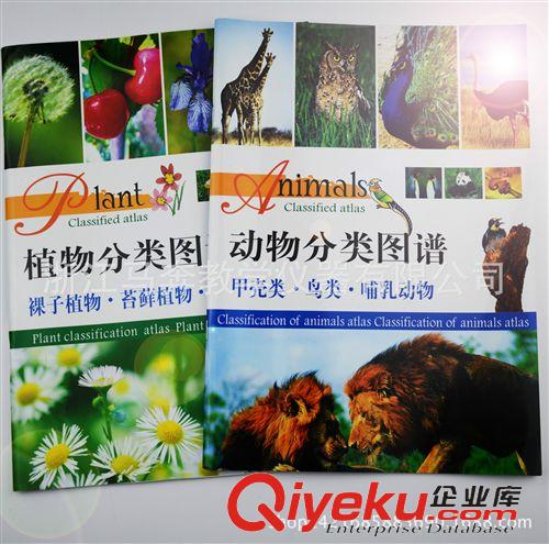 生物教學儀器 帶放大鏡的昆蟲觀察盒/昆蟲盒/小學科學/生物課/29040