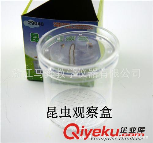 勞技教學儀器 美式電工鉗 省力鋼絲鉗 老虎鉗平口鉗子6寸/8寸zp電工工具