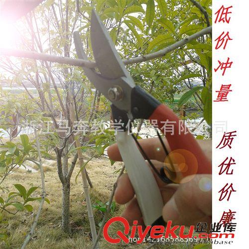 勞技教學(xué)儀器 帶放大鏡的昆蟲觀察盒/昆蟲盒/小學(xué)科學(xué)/生物課/29040