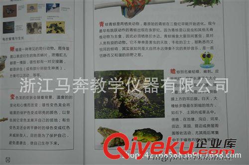勞技教學(xué)儀器 動物分類圖譜 J59009 小學(xué)科學(xué)實驗器材 植物分類 生物 教學(xué)儀器原始圖片3