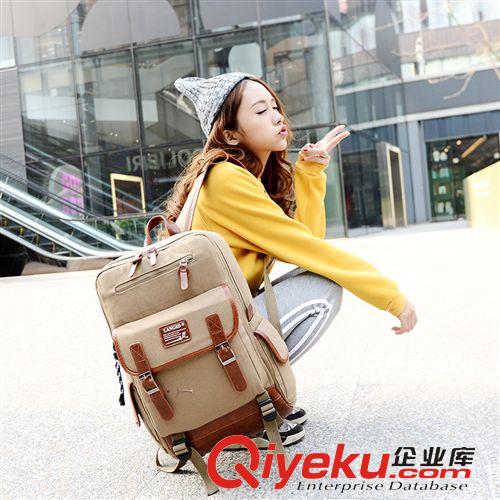 按價格區分 批發新款帆布雙肩大容量背包 旅行衣物收納大背包 帆布雙背包原始圖片2