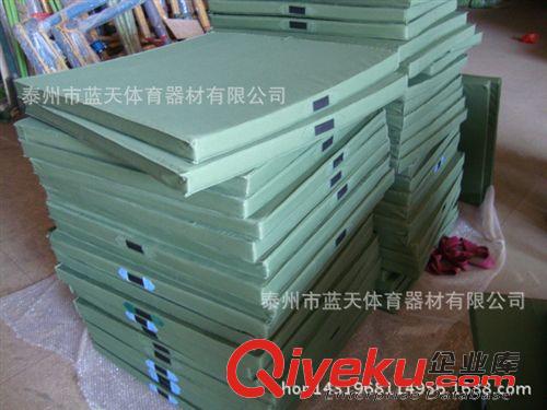 體操用品（單、雙杠） 2*1*0.1米體操墊折疊式 舞蹈墊 仰臥起坐墊子原始圖片3